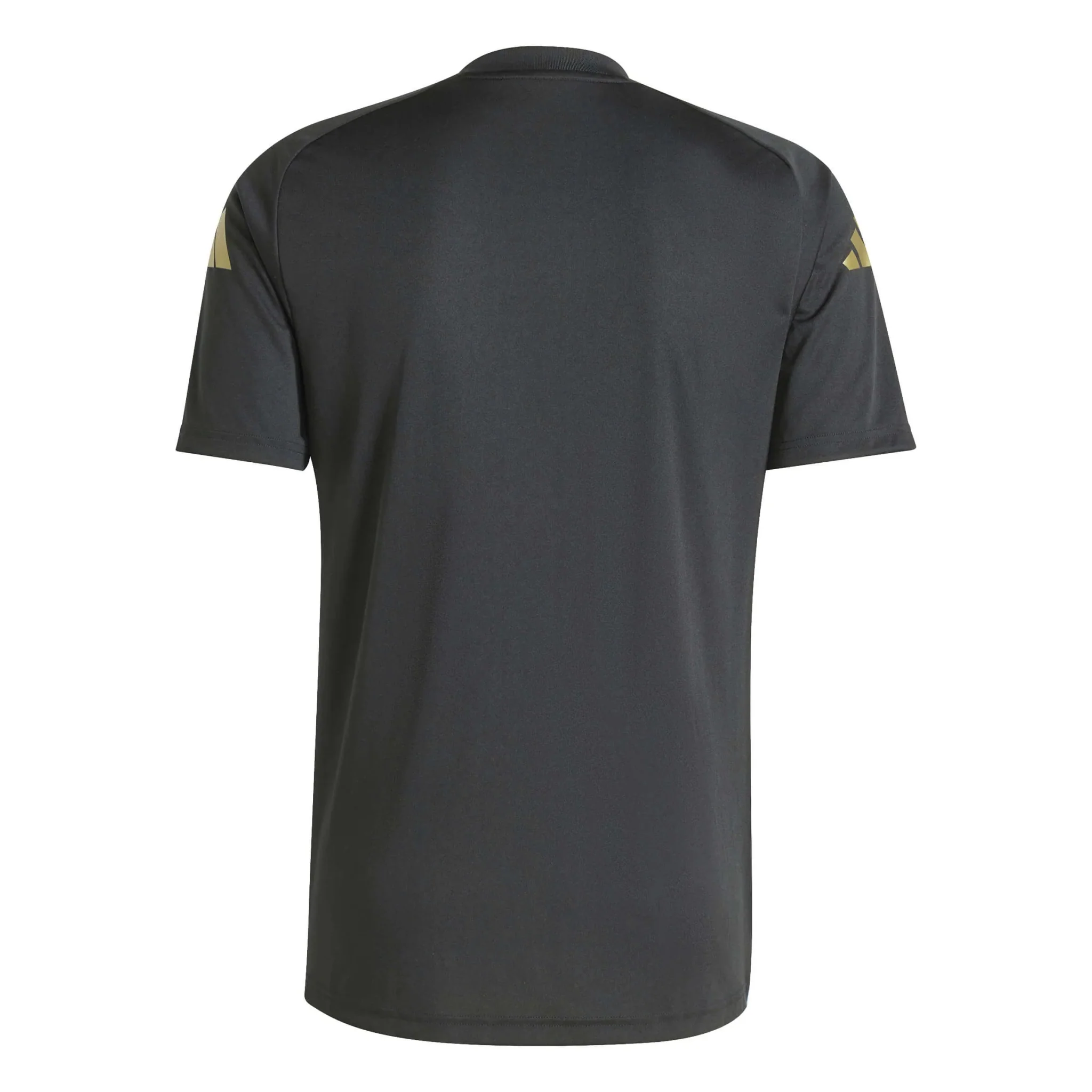 adidas 2024-25 Argentina Men's Pre-Match Jersey - Image 2