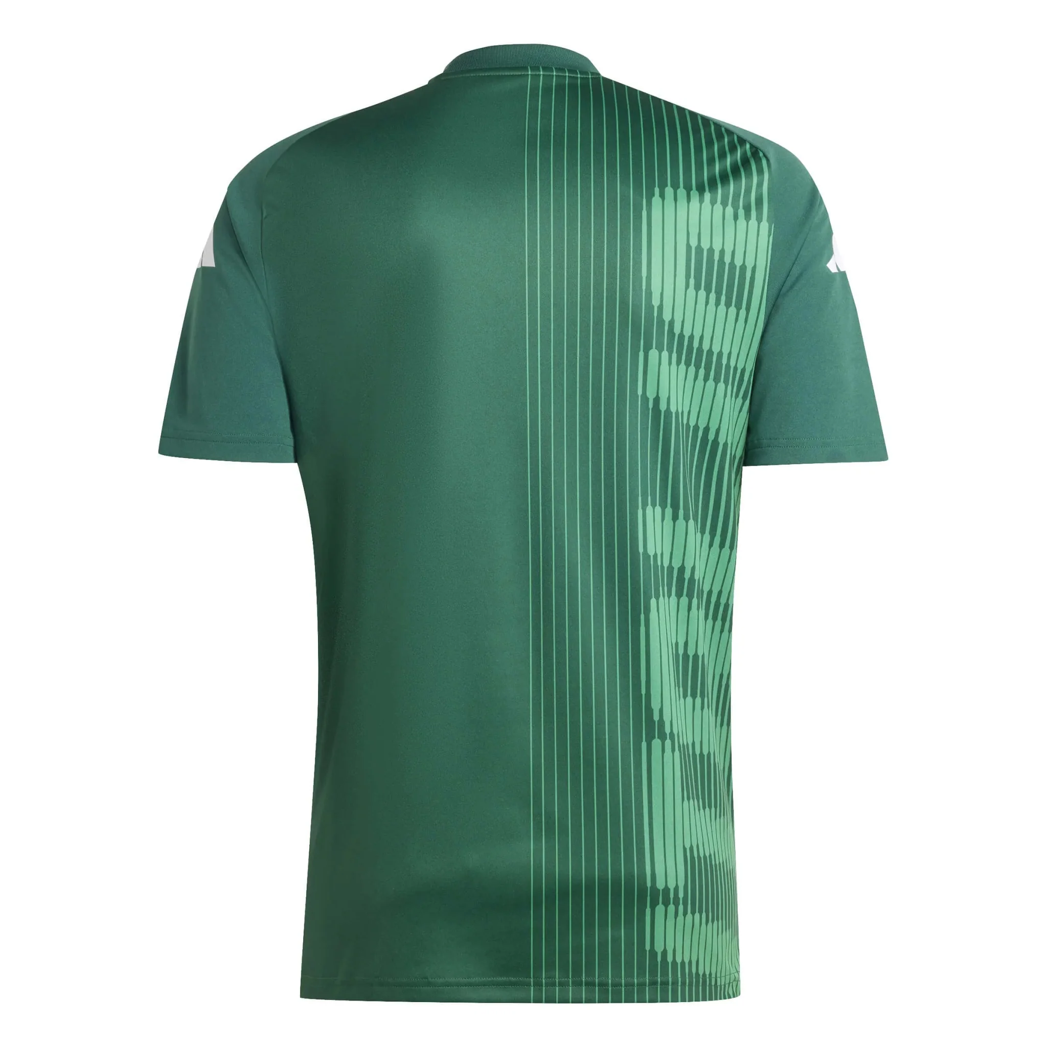 adidas 2024-25 Italy Men's Pre-Match Jersey - Image 2