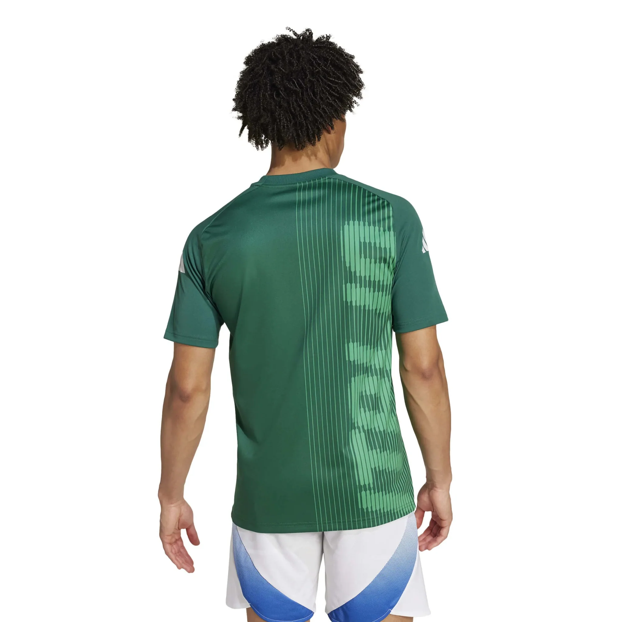 adidas 2024-25 Italy Men's Pre-Match Jersey - Image 5