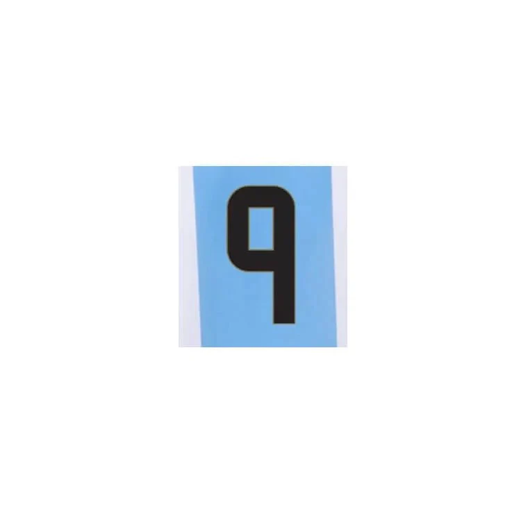 Argentina 2024/25 Home J. Alvarez #9 Jersey Name Set - Image 2