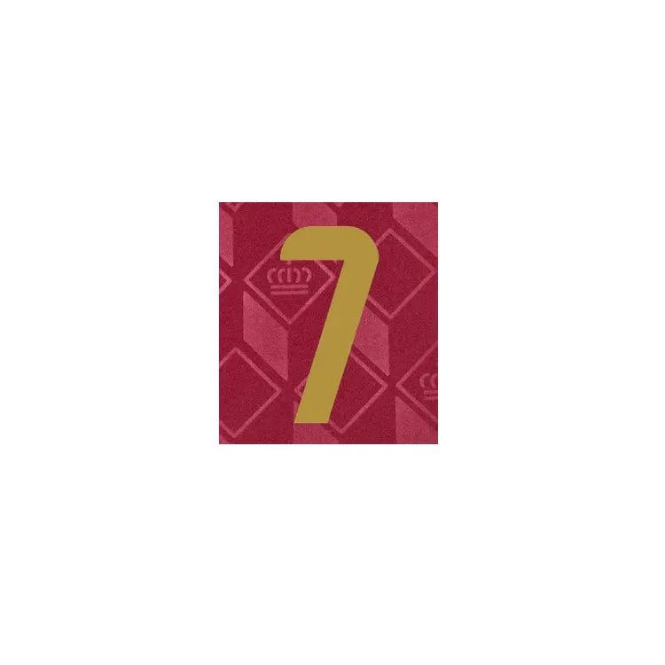Belgium 2024/25 Home De Bruyne #7 Jersey Name Set - Image 2