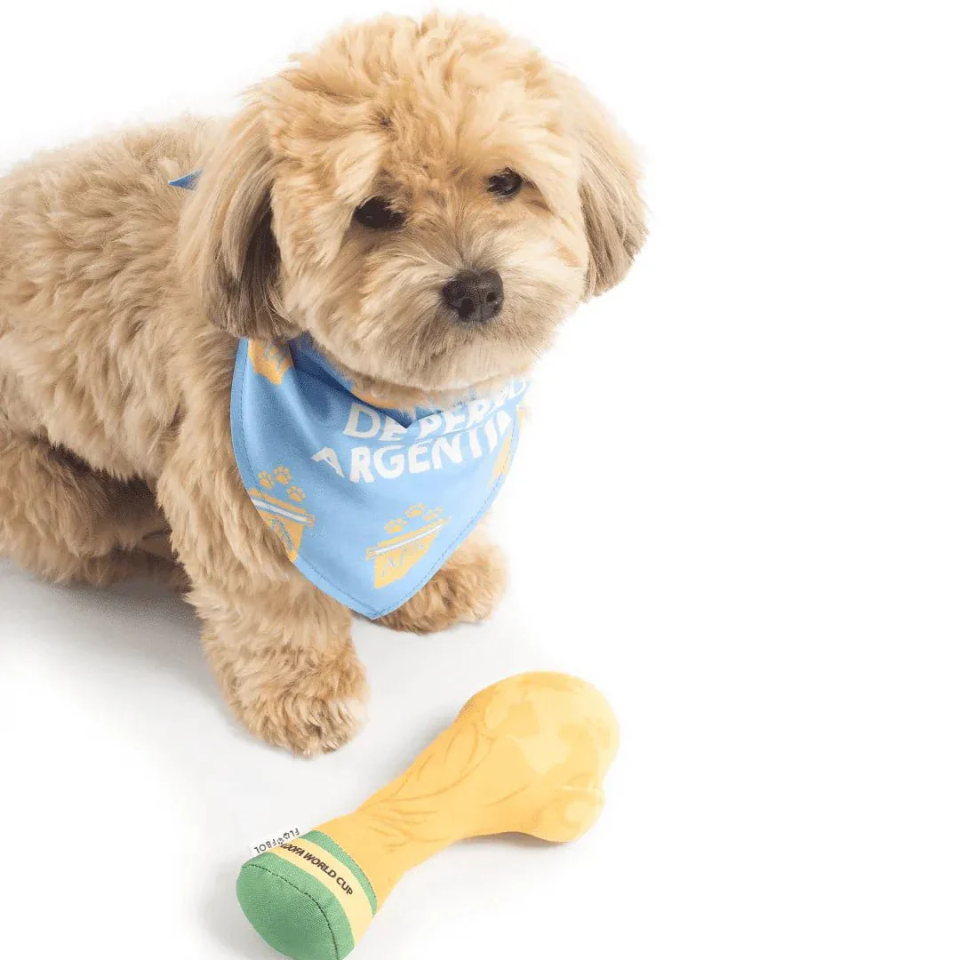 Floofball Argentina Dog Bandana - Image 4