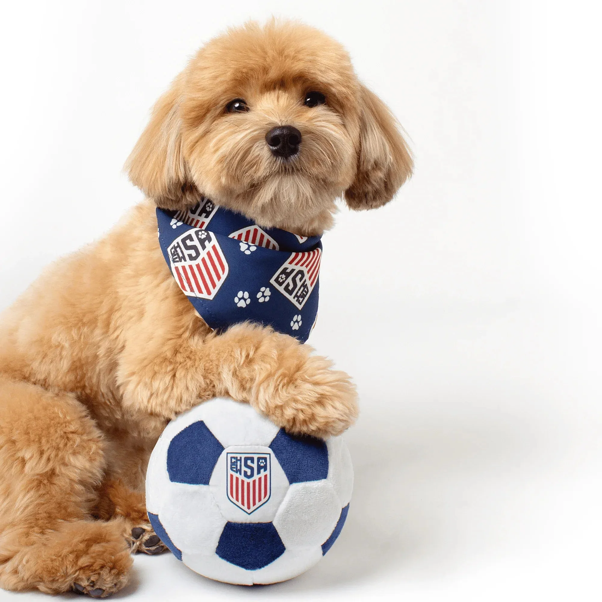 Floofball ChewSA Dog Bandana - Image 4