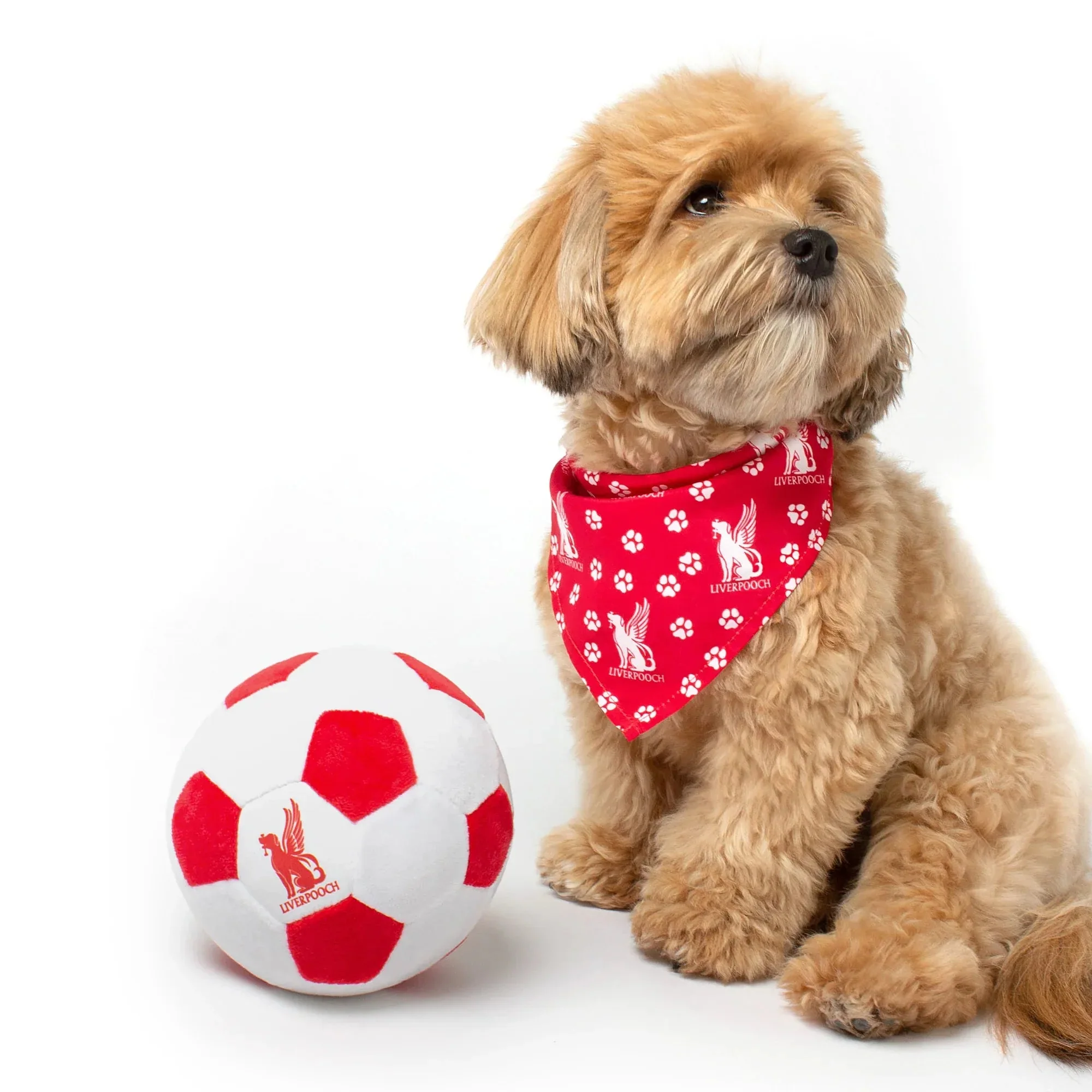 Floofball Liverpooch Dog Bandana - Image 4