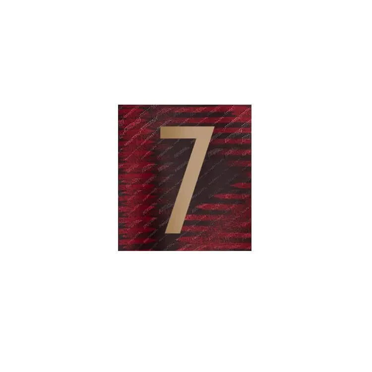 Germany 2022-23 Away Havertz #7 Jersey Name Set - Image 2