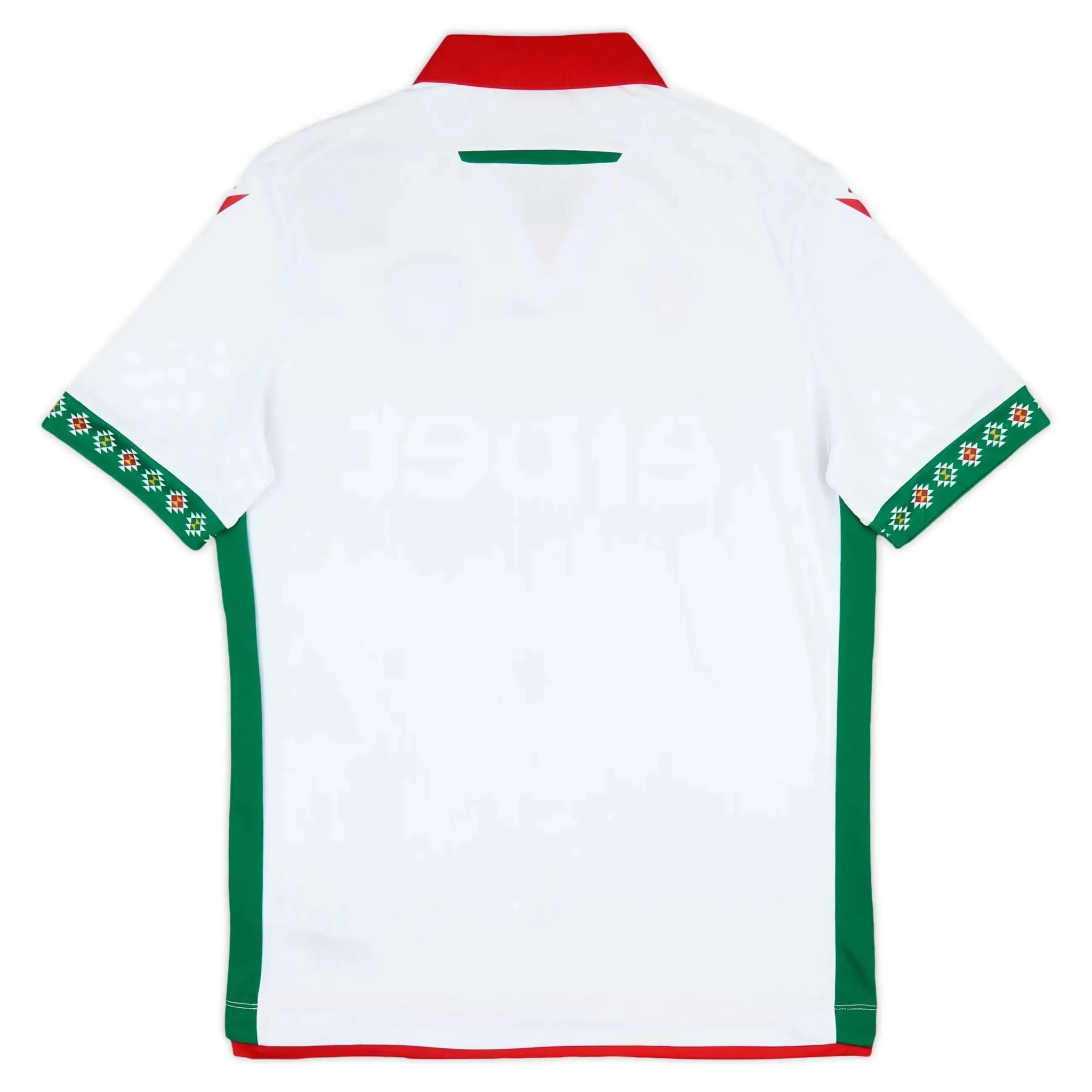 Macron 2025-26 Bulgaria Men's Authentic Home Soccer Jersey - Image 2