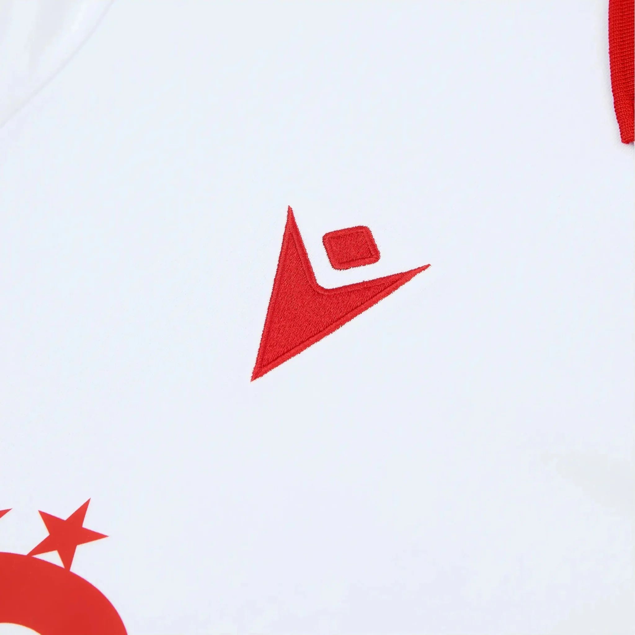 Macron 2025-26 Bulgaria Men's Authentic Home Soccer Jersey - Image 4