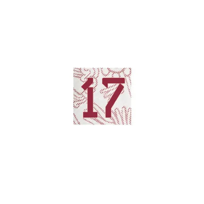 Mexico 2022-23 Away Pineda #17 Jersey Name Set - Image 2