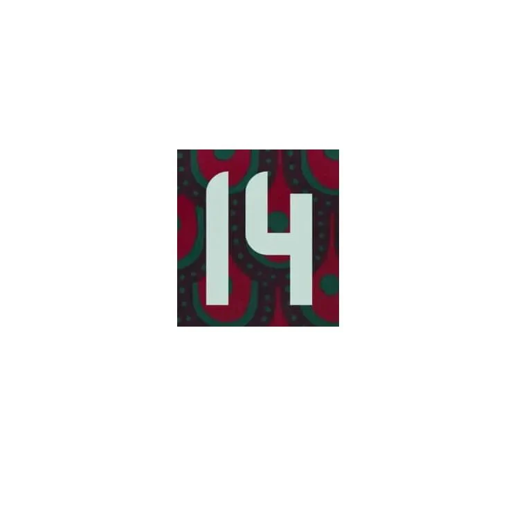 Mexico 2024/25 Home Chicharito #14 Youth Jersey Name Set - Image 2