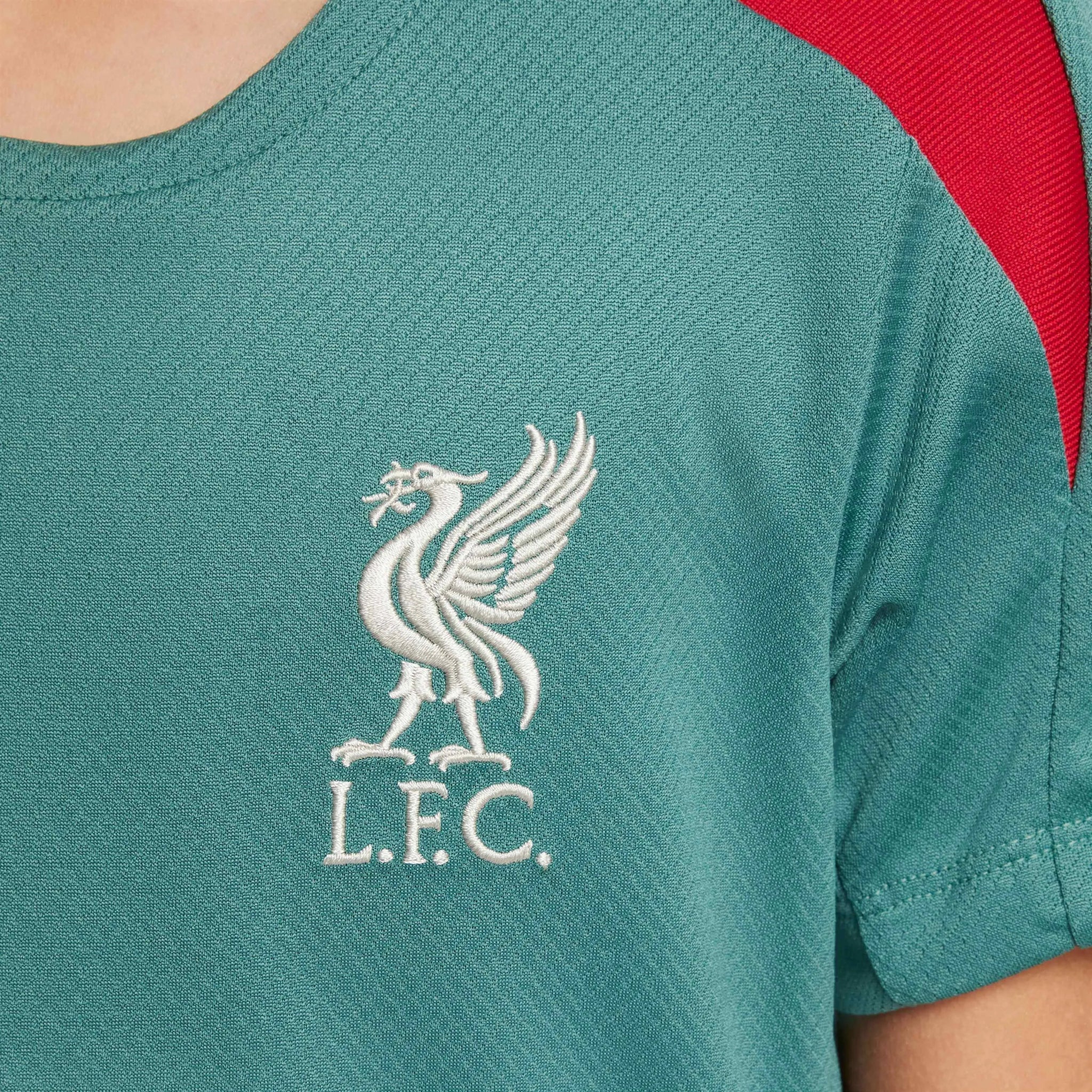 Nike 2024-25 Liverpool Youth Strike Top - Image 7