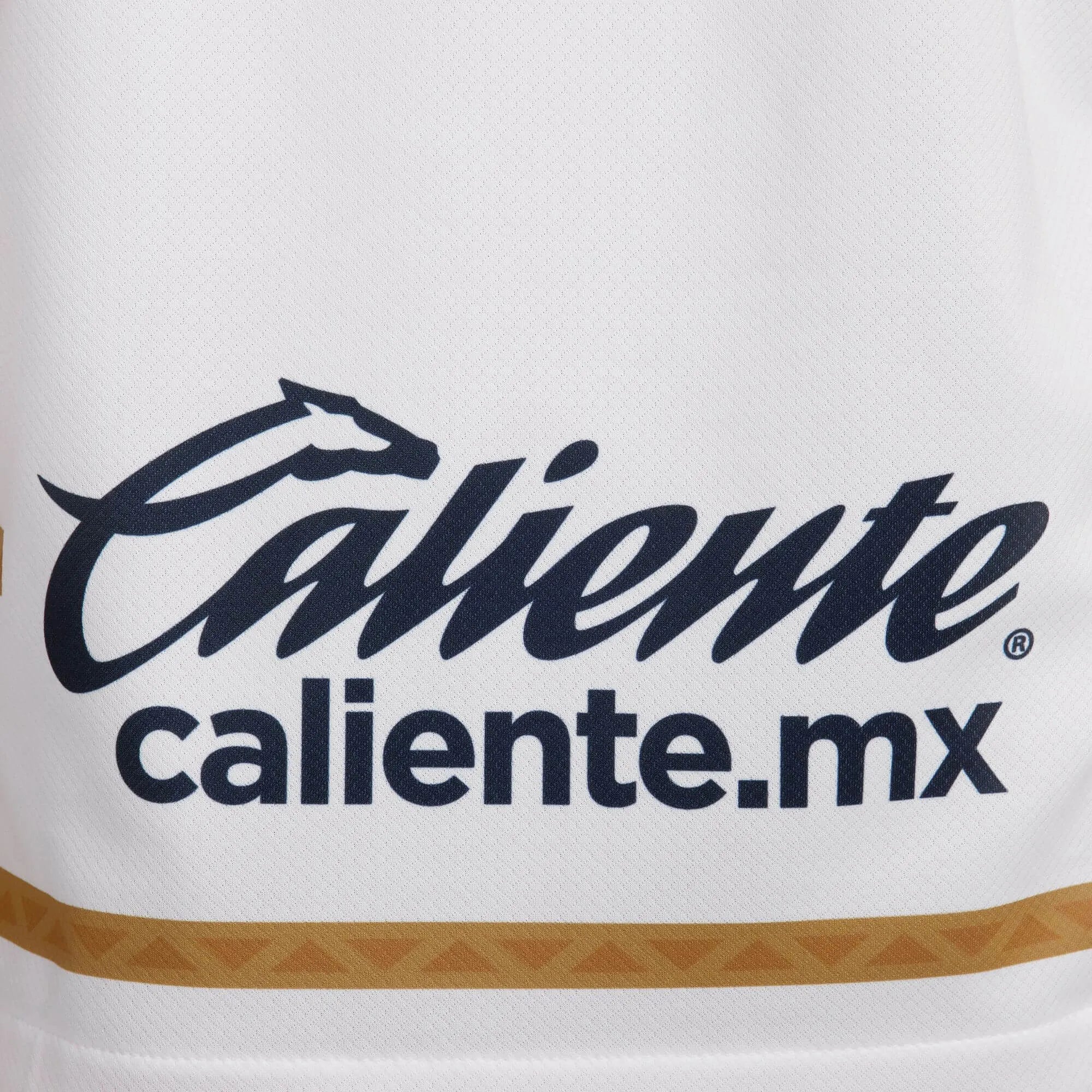 Nike 2024-25 Pumas Men's Stadium Home Jersey - Image 6