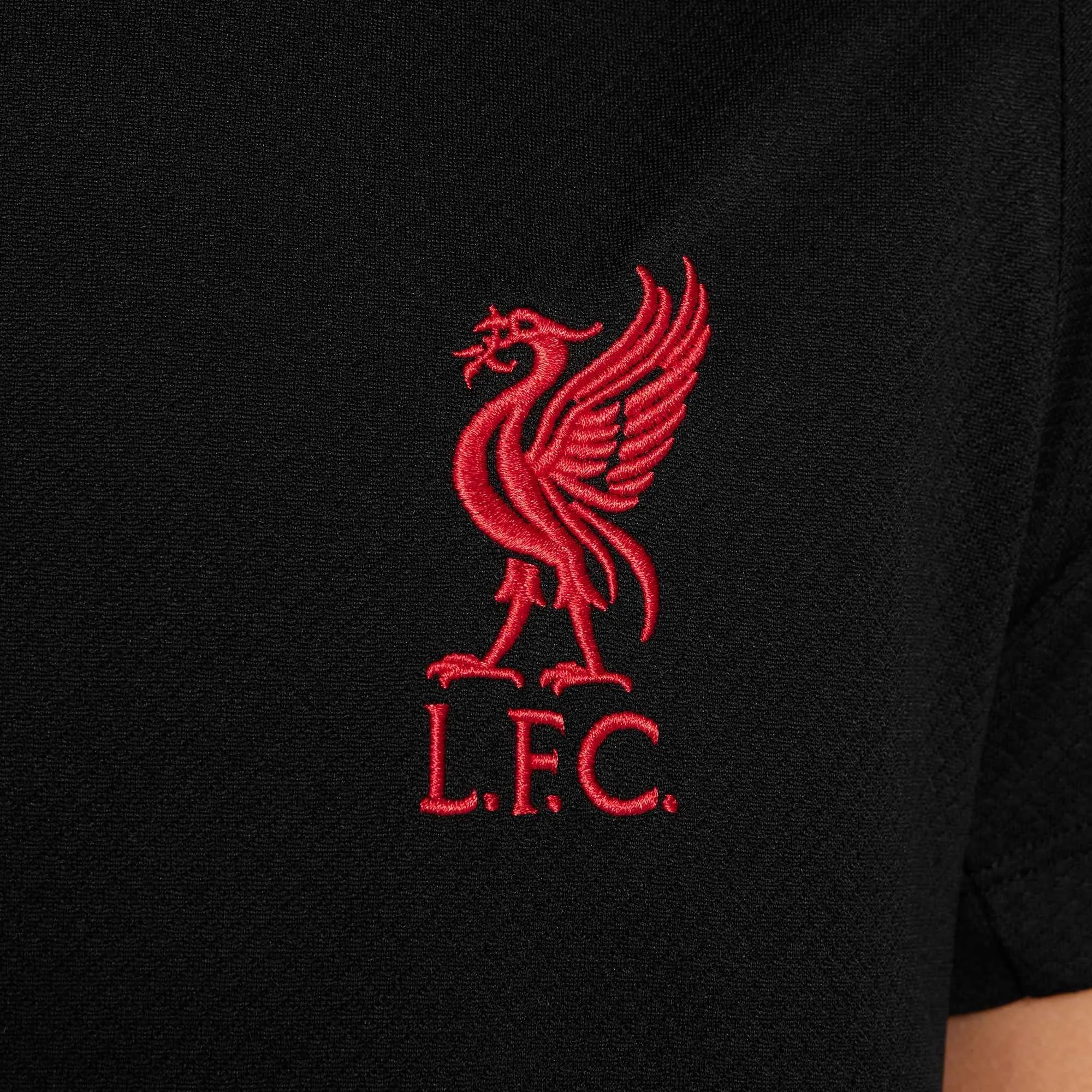 Nike 2025 Liverpool Youth Strike Soccer Jersey - Image 7