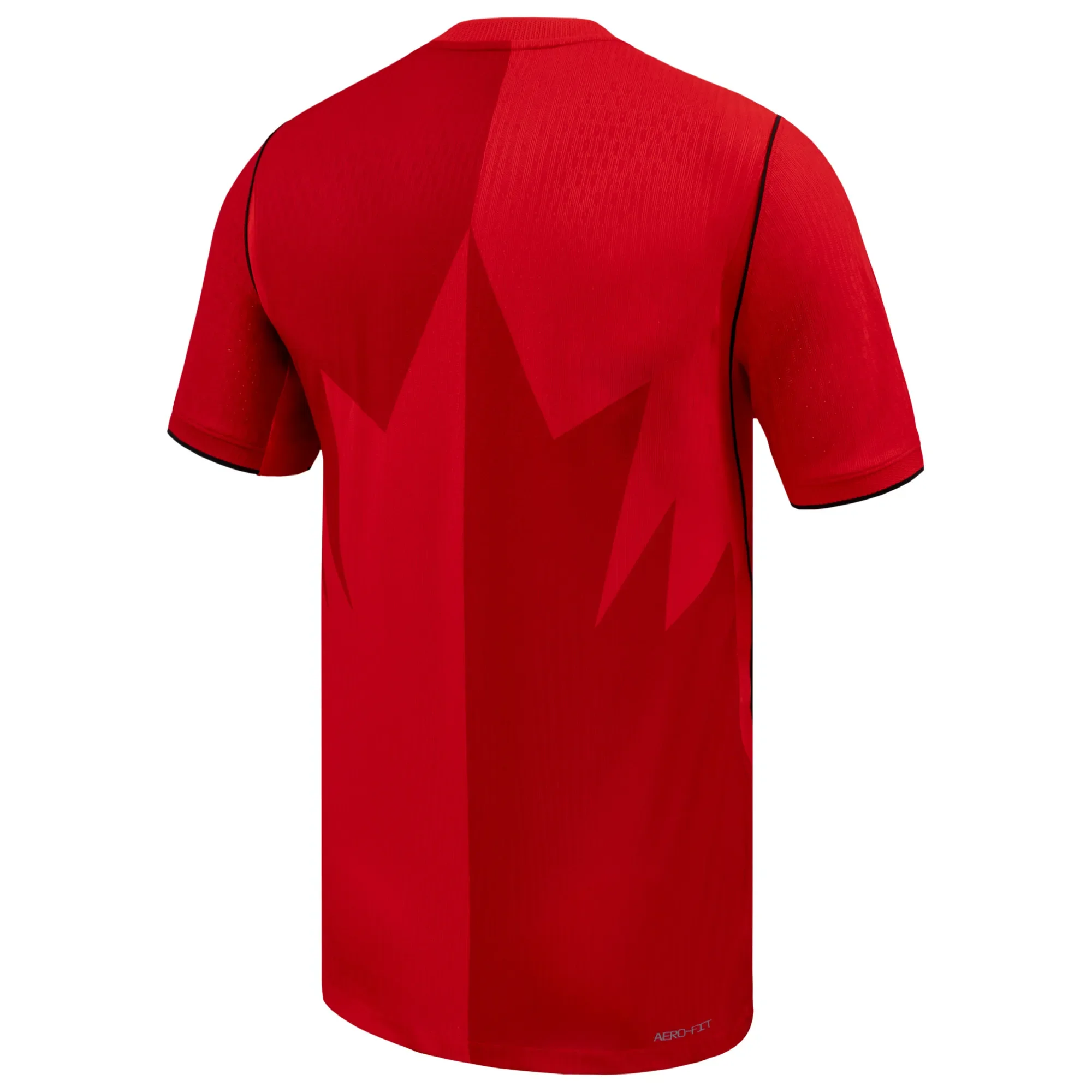 Nike 2026-27 Canada Men's Authentic Home Soccer Jersey - Image 2