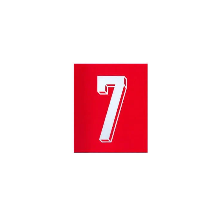 Portugal 2024/25 Home Ronaldo #7 YOUTH Jersey Name Set - Image 2