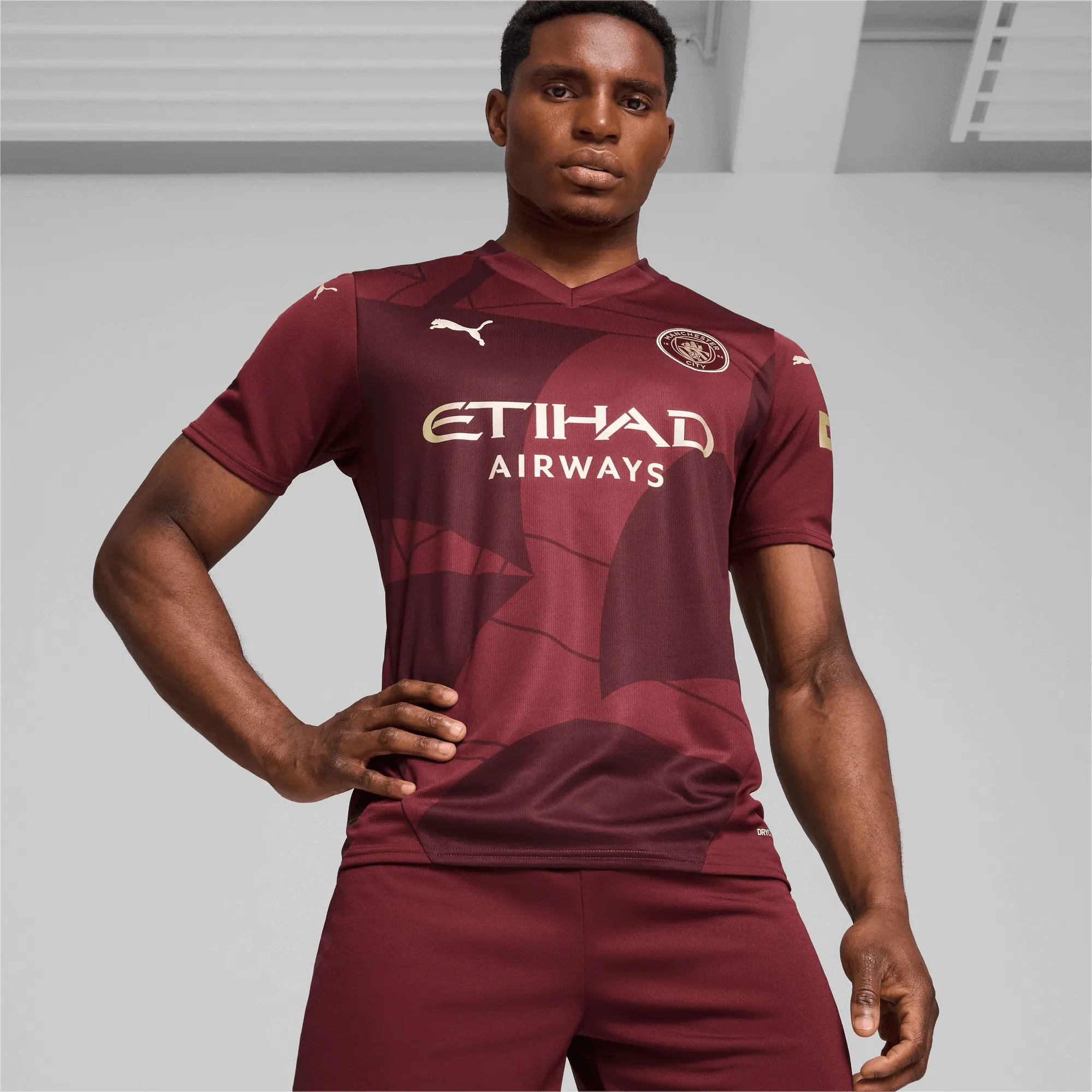 Puma 2024-25 Manchester City Men's Stadium Third Jersey - Image 3