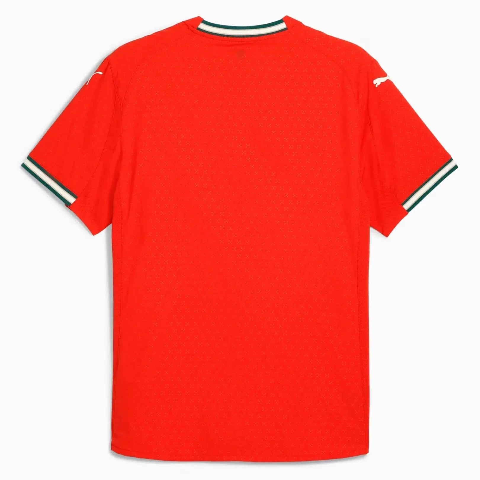 Puma 2025-26 Portugal Men's Authentic Home Jersey - Image 2