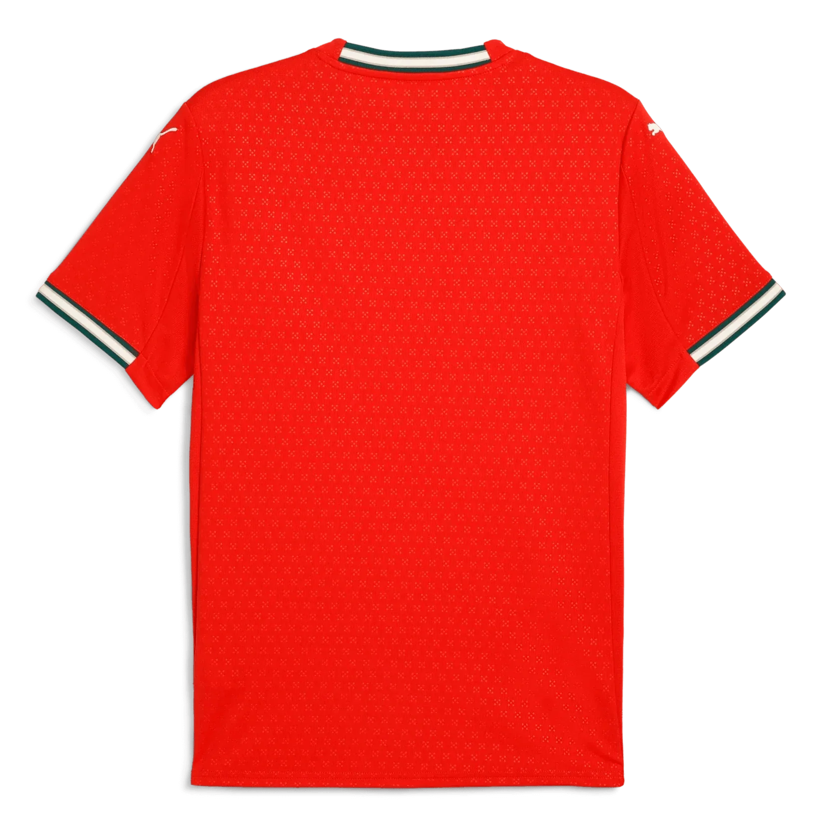 Puma 2025-26 Portugal Men's Stadium Home Jersey - Image 2