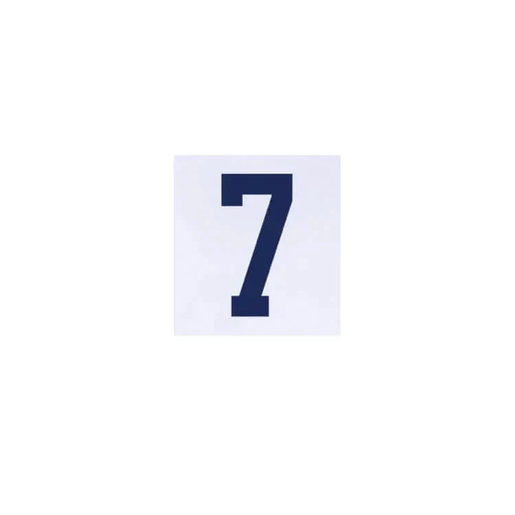 USA 2024/25 Home Reyna #7 Jersey Name Set - Image 2